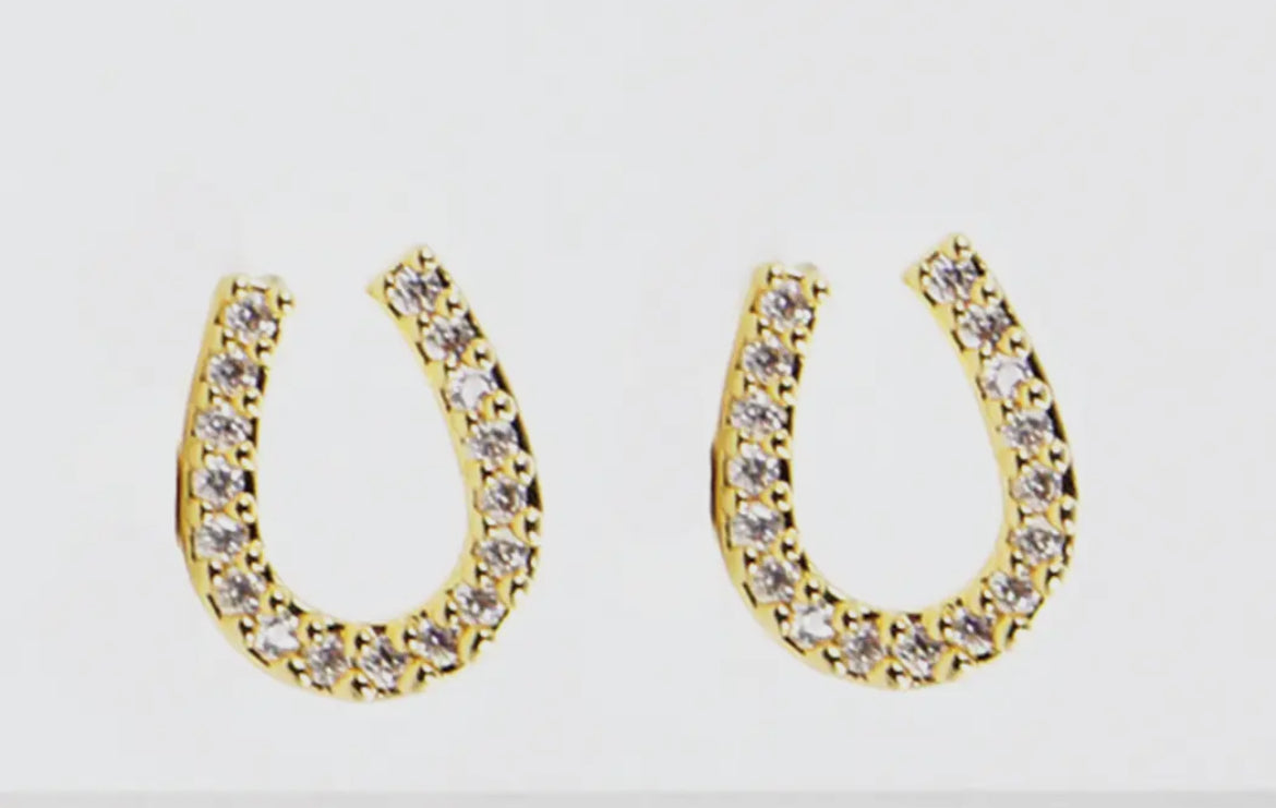 Horse Shoe Earrings